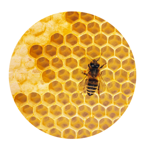 EDH - Uncle Jer&rsqu